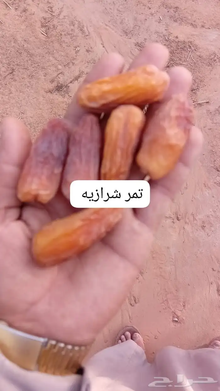 ابو علي لتوريد جميع انواع انخيل 0