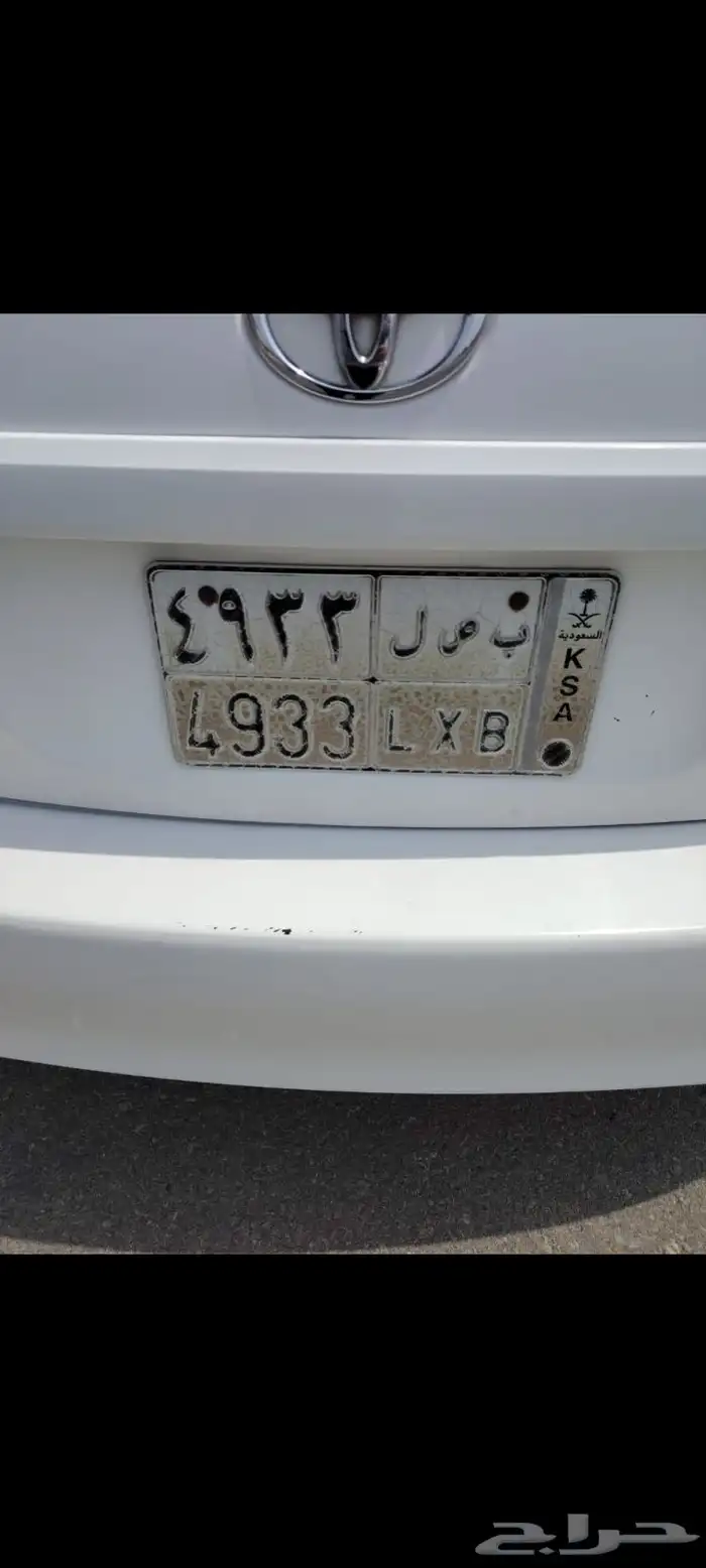 لوحة بصل 4933 0