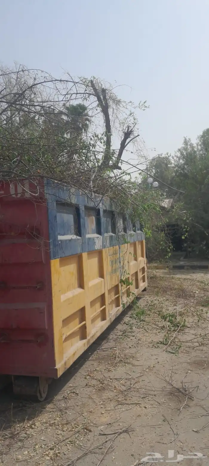 الزراعه والنخيل 1