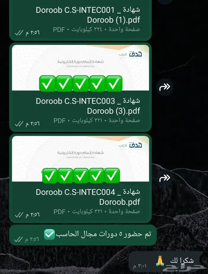 حضور دورات تدريبية معتمدة 3