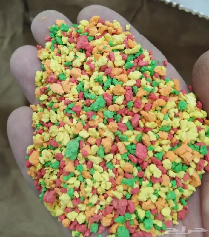 فواكة مجففة مغذيات . باتيه. قواقع. دخن عناقيد 6