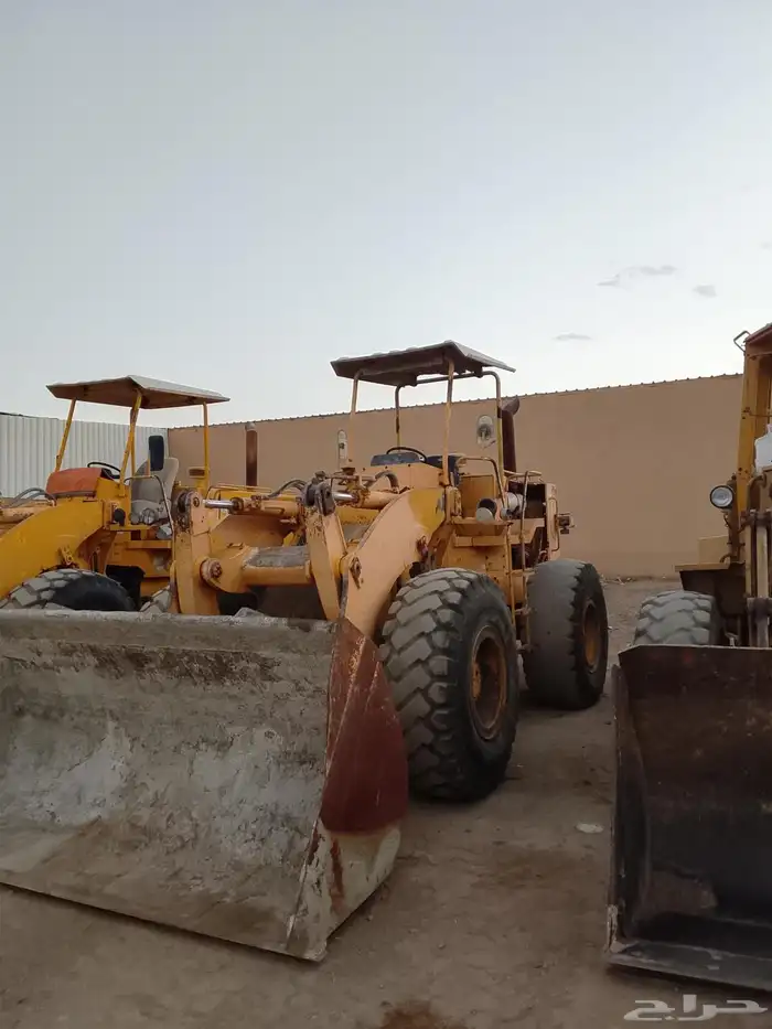 شيول فركاوة عويضة 230 3