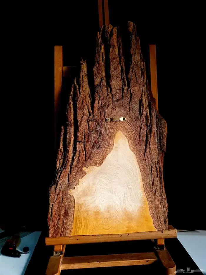 لوحة ولي العهد محمد بن سلمان 9