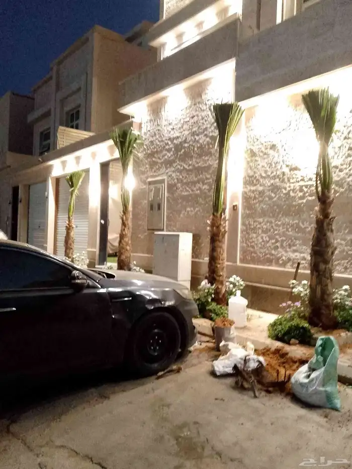 نخل وشنطني زينه 3