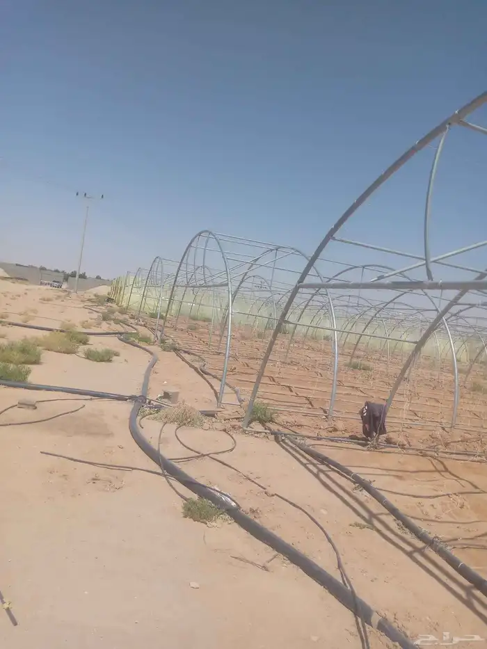 متوفر لدينا بيوت محميه عادي مجلفن اردني 16 بيت 3