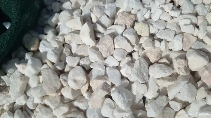 بحص احمر بحص ابيض 5