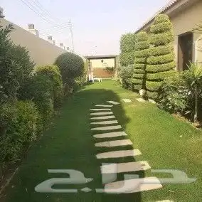 زراعة وشلالات ونوافير وشبكات ري عادي واتوماتيك 9