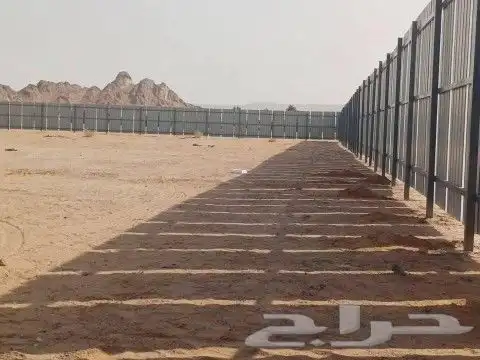 شبوك هناجر 1