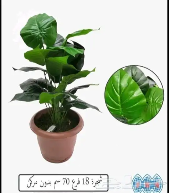 تنسيق حدائق احواض زرعيه بأقل الاسعار شلالات ونوفير جلسات غر 6