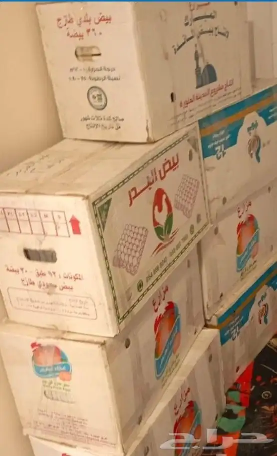 اشرطه فيديو حجم كبير 1