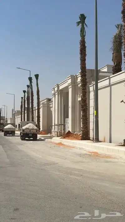 نخل زينه للقصور والفلل الاستراحة واشنطن نخيل الوشنطني الزينه 0