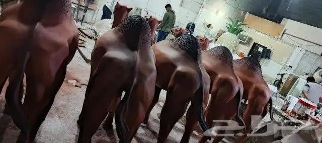 منتجات فابير جلاص 4