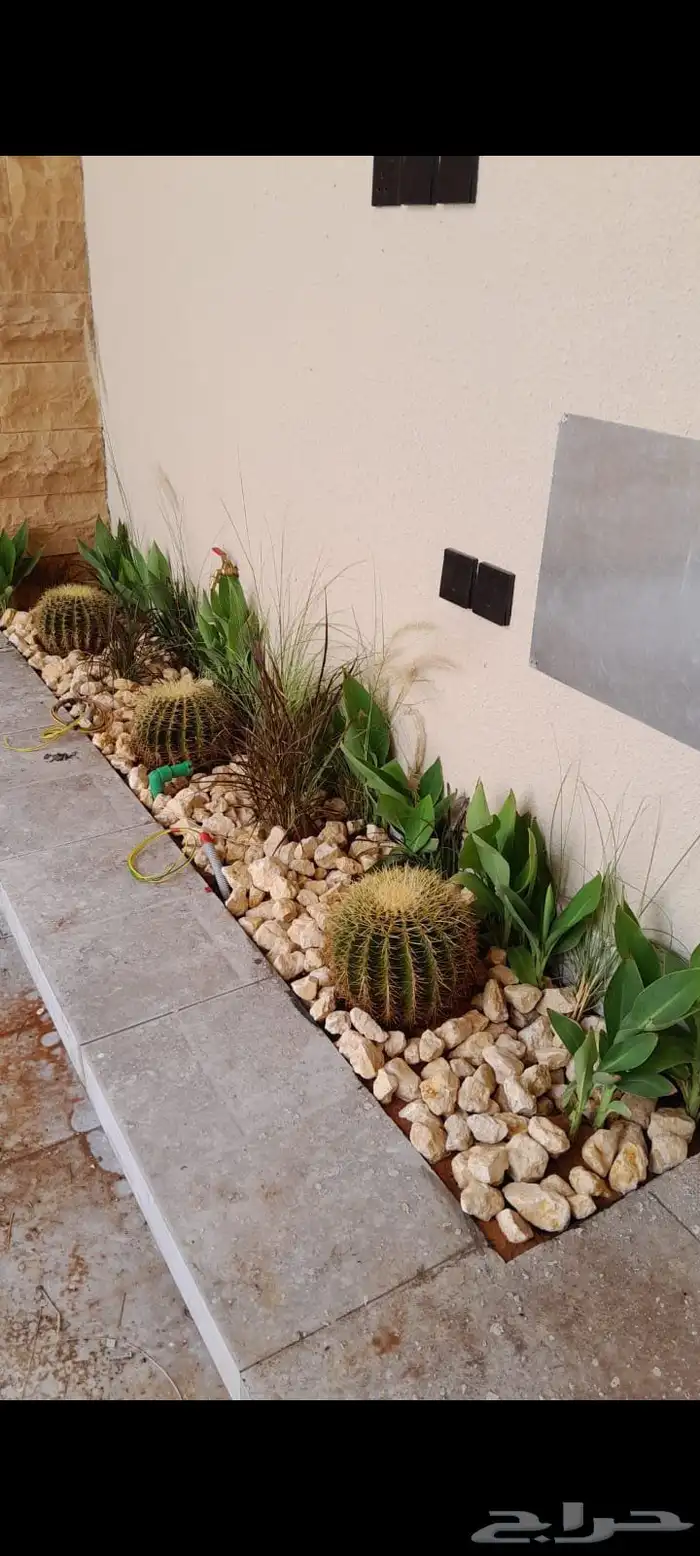 مشتل زراعة حدائق واحواض زراعيه شمال الرياض 2