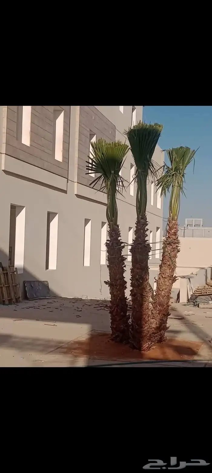 تنسيق حدائق 2