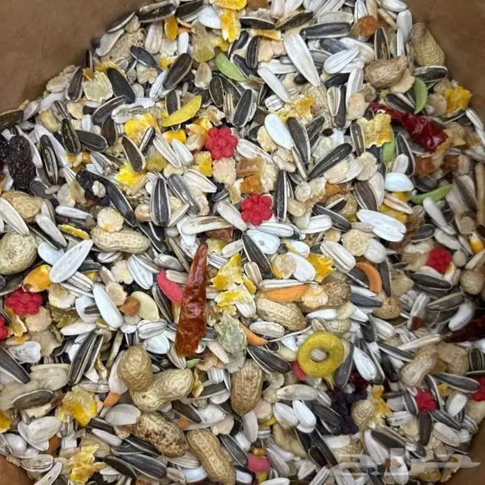 فواكة مجففة مغذيات . باتيه. قواقع. دخن عناقيد 1