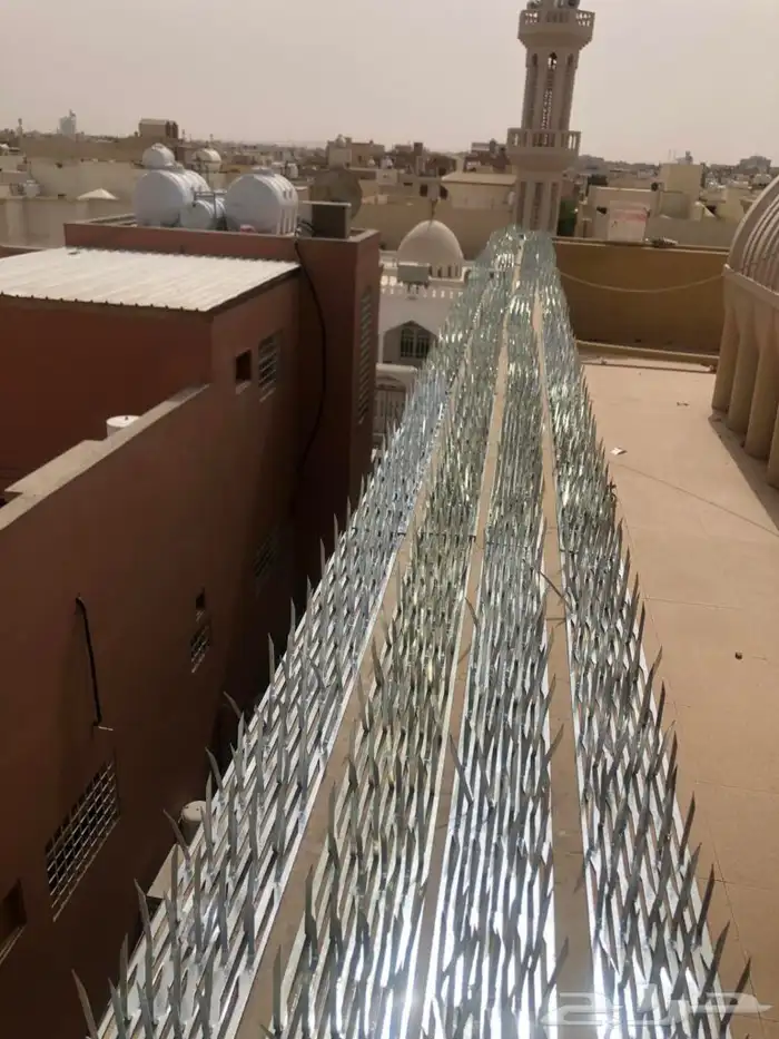 تركيب طارد حمام بالدمام تركيب اشواك حمام تركيب مانع حمام شبك 3