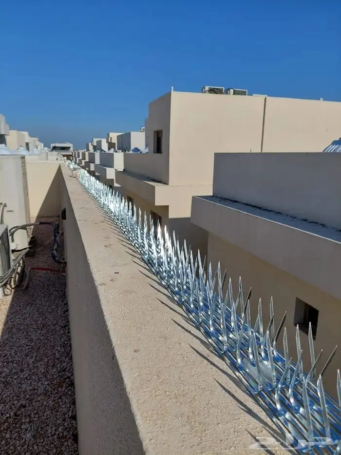 تركيب طارد حمام بالدمام تركيب اشواك حمام تركيب مانع حمام شبك 2