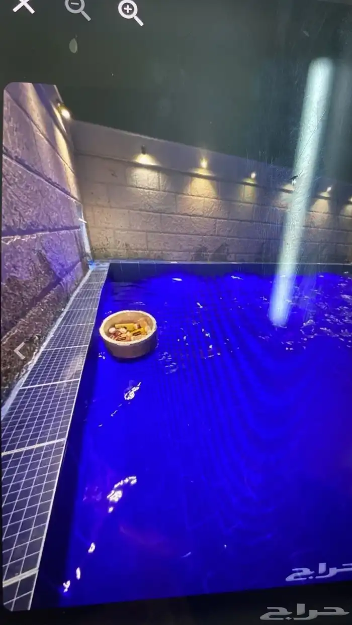 شتليهات عائليه جنوب الرياض 450 7