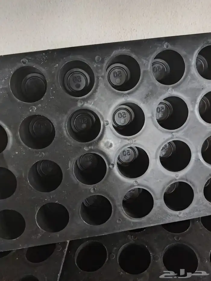 قوالب بسكوت خرساني 8