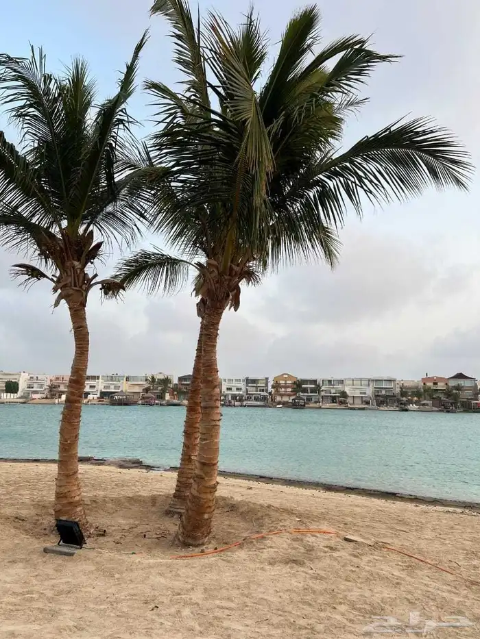 فلل وشاليهات درة العروس 0