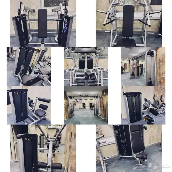 مجدد أمريكي لايف فتنس 0