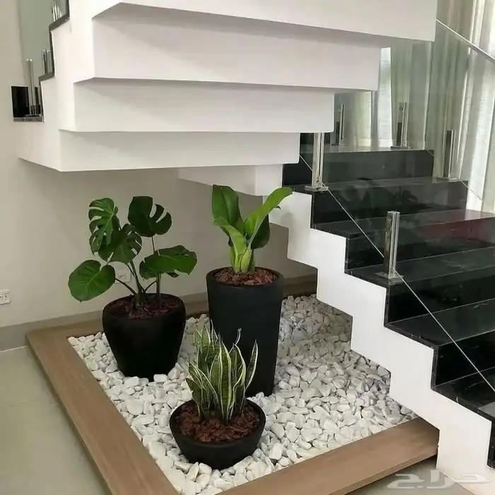 تنسيق حدائق 5