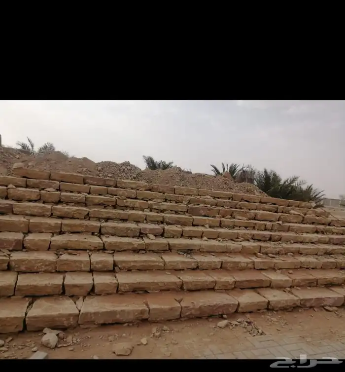 الرياض 7