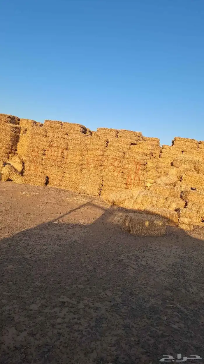 علاف 4