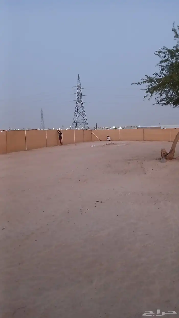 توريدوتركيب الشبوك 3