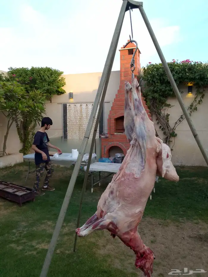 شيف شوي خارجي 0