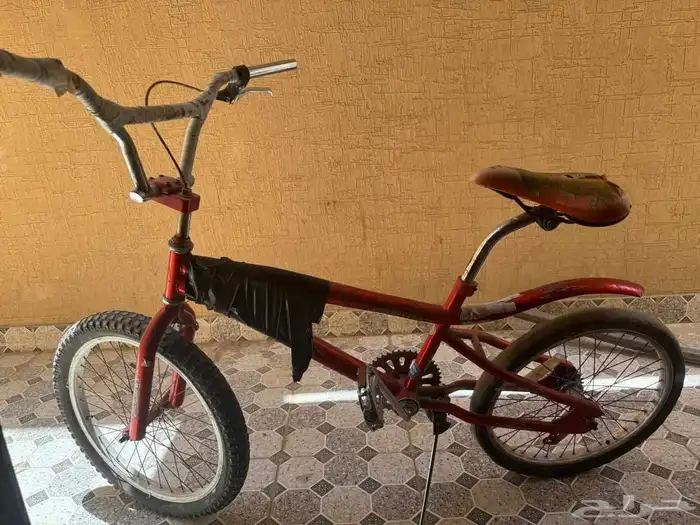 سكيل كوبرا 3