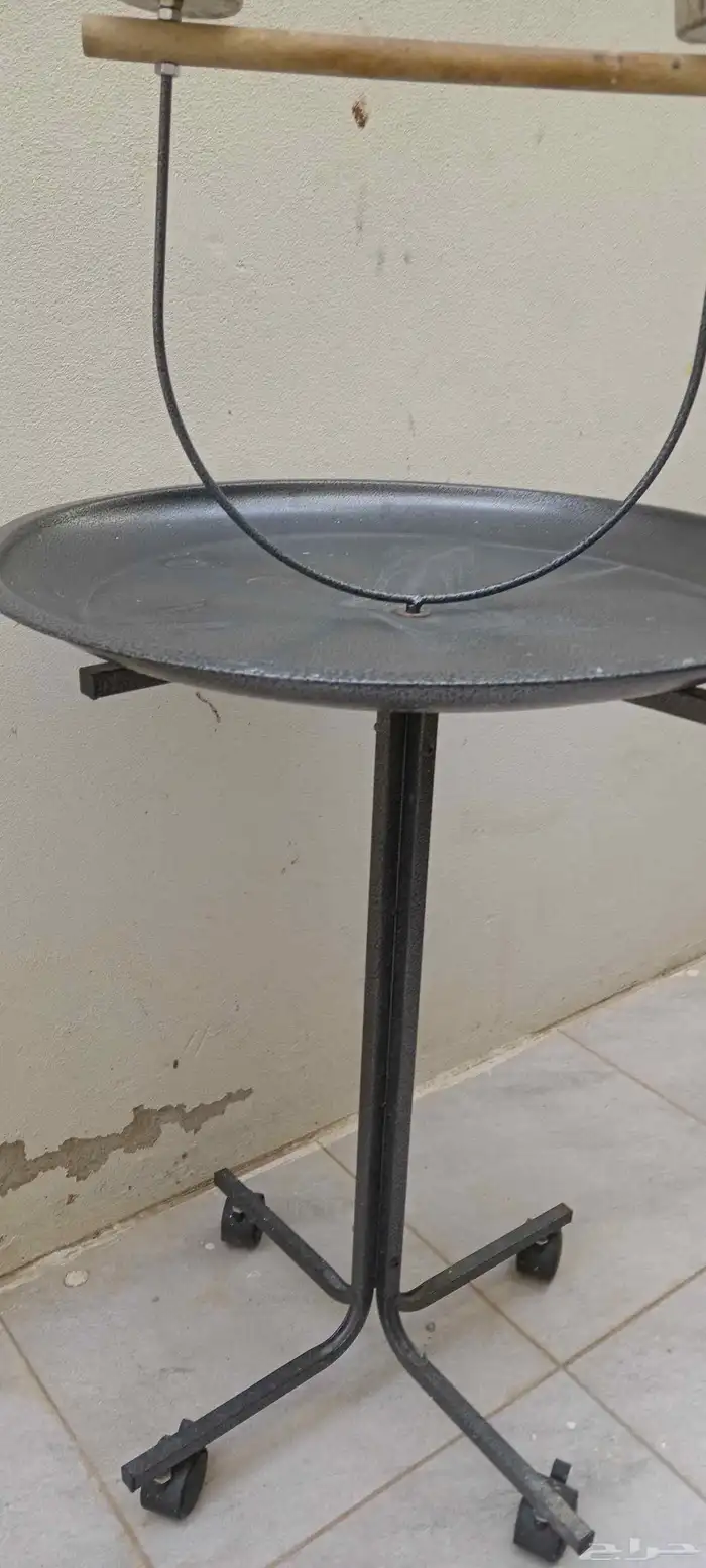 صحن ببغاء كاسكو مع كوبين أكل وماء متحرك بكفرات 4