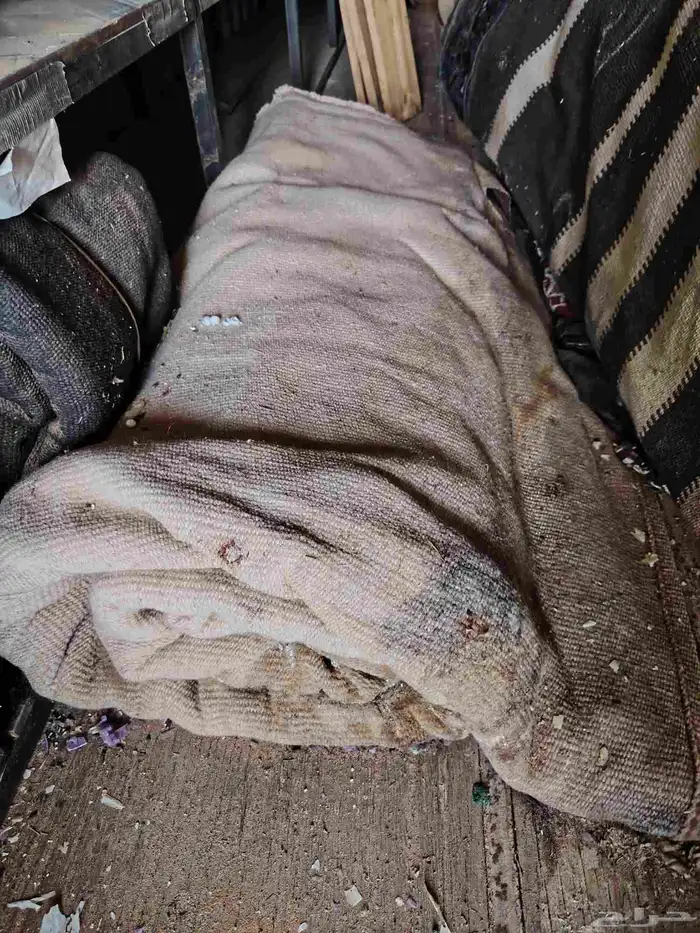سقف خيمة لوجه الله بشرط 2