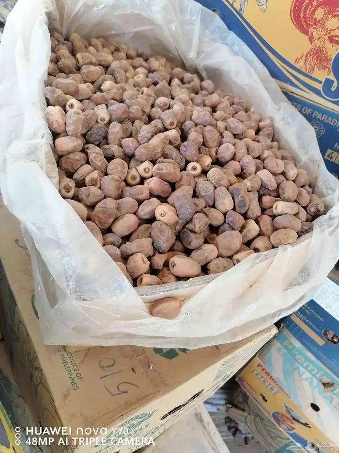 تمر نفيع للبيع 370 كرتون 1