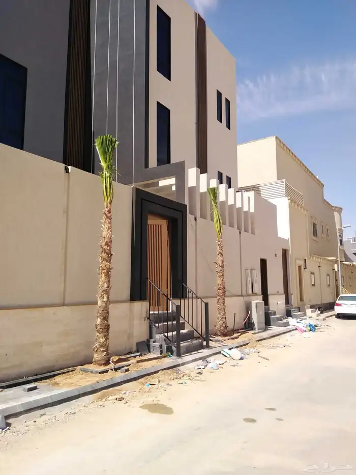 نخيل واشنطونيا أمريكي 5