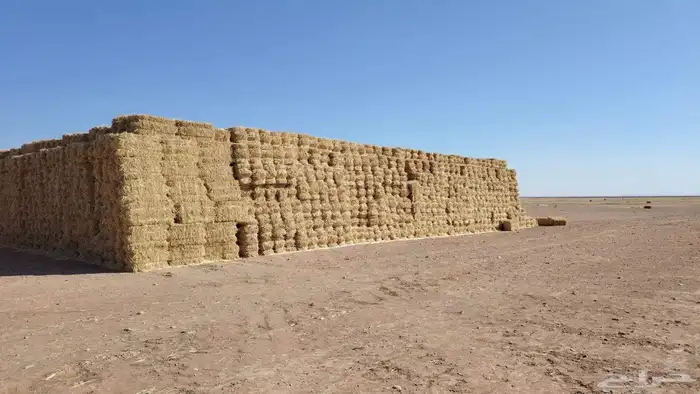 علاف 2