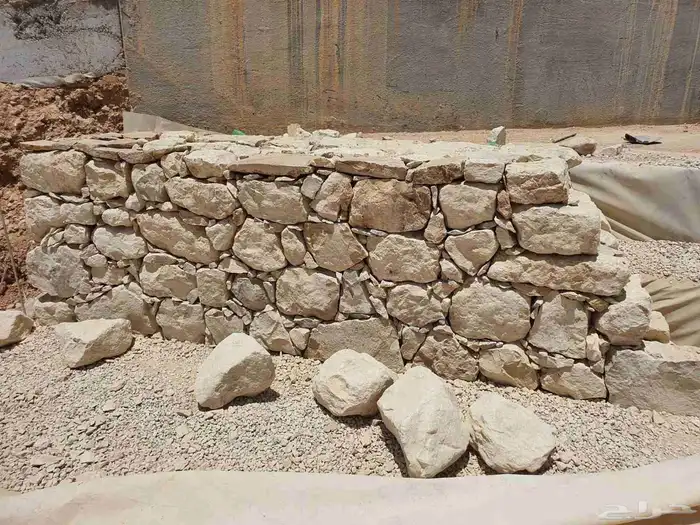 الرياض 0