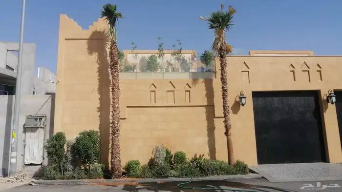 نخيل وشنطونيا ونخيل عربي 5