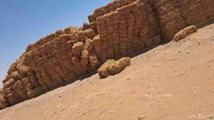 علاف 3