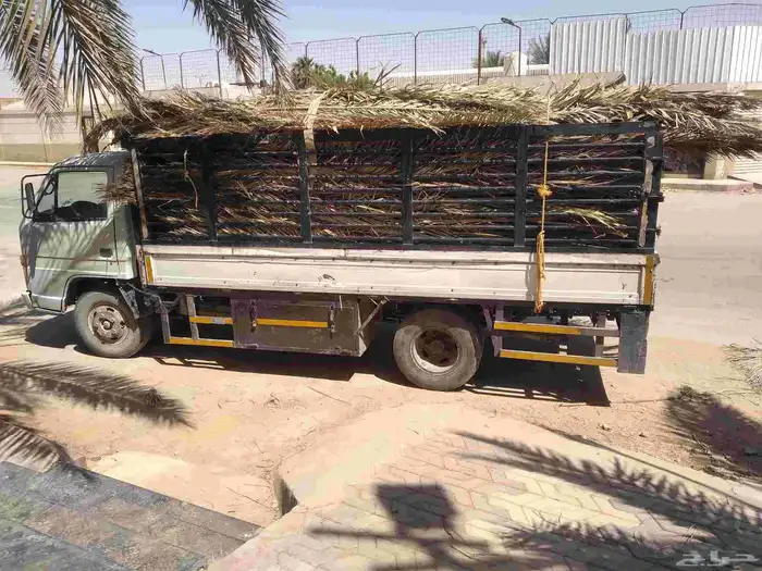 سعف نخيل طيب جديد أخضر للعرايش والمظلات 4
