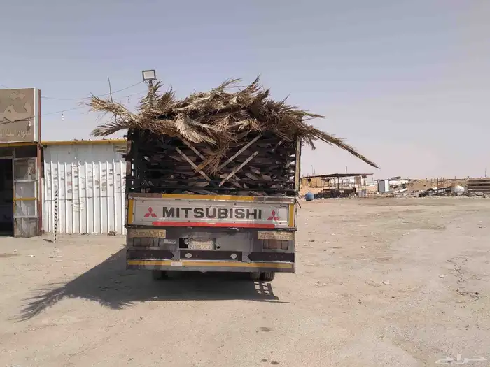 سعف نخيل طيب جديد أخضر للعرايش والمظلات 0