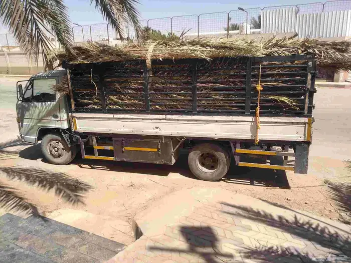 سعف نخيل طيب جديد أخضر للعرايش والمظلات 5