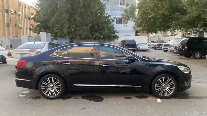 كادينزا 2014 للبيع 8