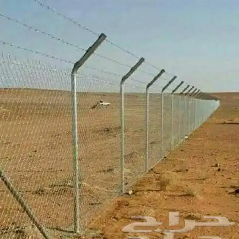 يوجد جميع انواع الشبوك 5