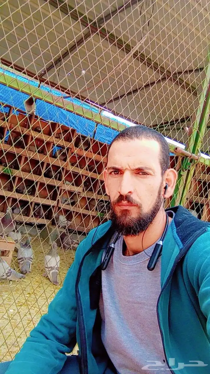 خبير ومعلم فى مجال الحمام وعمل دراسة جدوى للمشروع 5