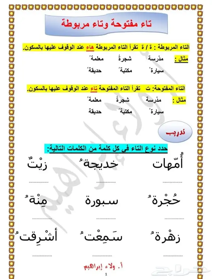 معلمه تأسيس سودانيه 0