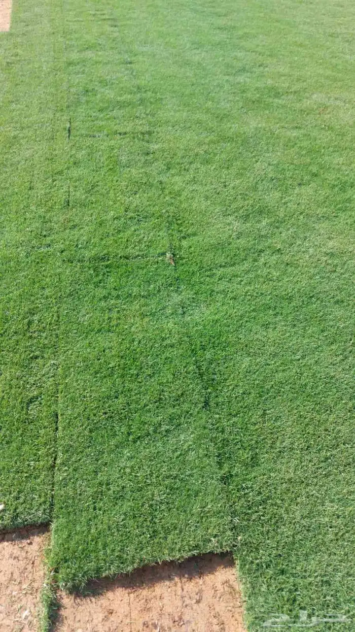 تنسيق الحدائق الطبيعيه والزهور والشتلات وتركيب شبكات الري 4