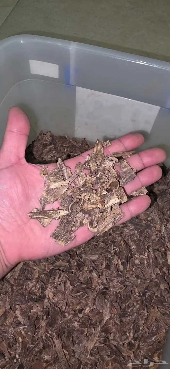 عود هندي طبيعي دبل سوبر وسوبر رائحة عطرية 0