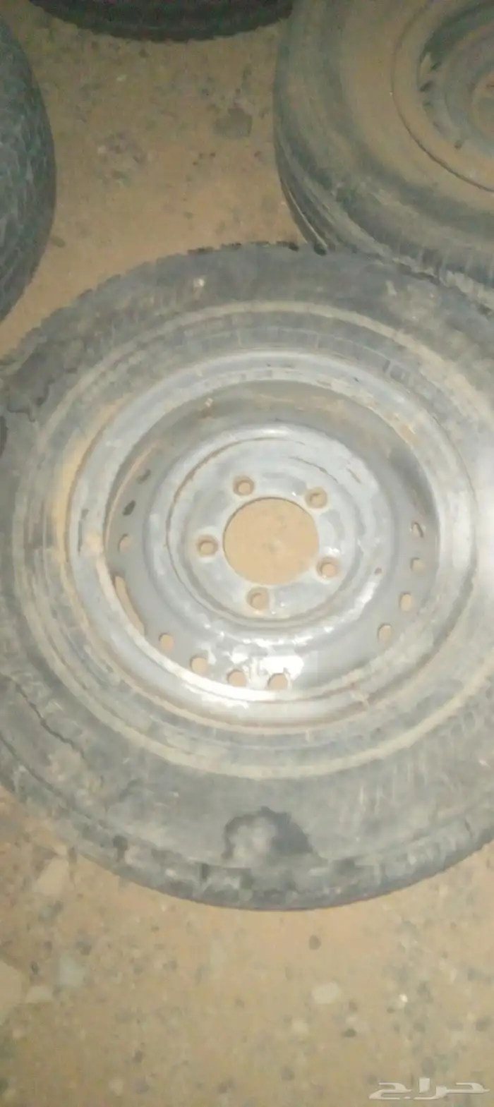 جنوط شاص شنبر 3