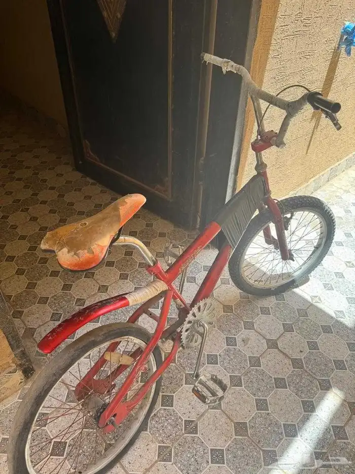 سكيل كوبرا 1